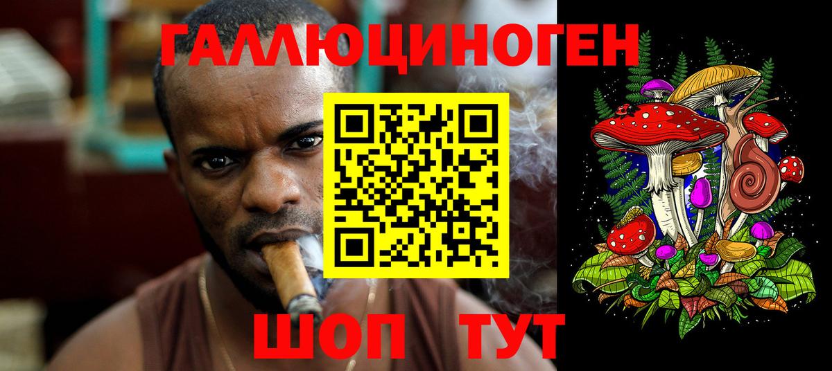 Советский  Галлюциногенные грибы Cubensis  Вход с VPN  Галлюциногенные грибы Psilocybe 